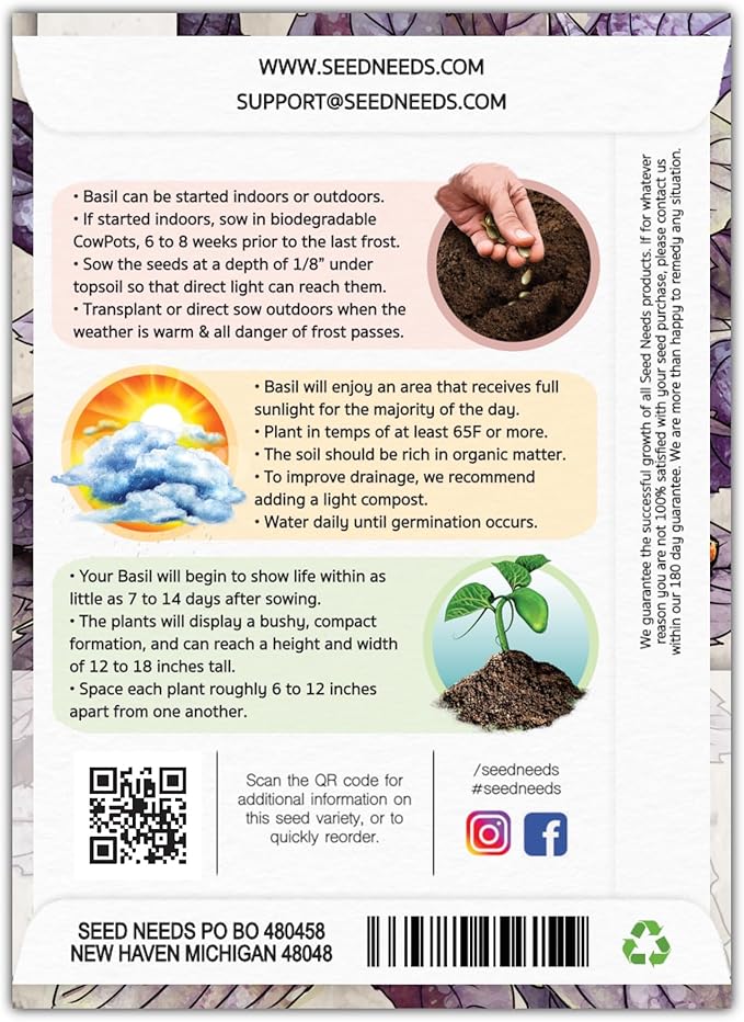 Seed Needs Opal Basil Seeds for Planting Red Basil Plants - Non-GMO Heirloom & Untreated Herb Seeds to Plant an Indoor or Outdoor Culinary Kitchen Garden (2 Packs)
