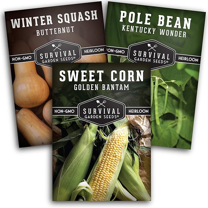 Three Sisters Collection Seed Vault - Non-GMO Heirloom Seeds for Planting Vegetables - Sweetcorn, Butternut Winter Squash & Pole Beans for Growing on Your Homestead - Survival Garden Seeds