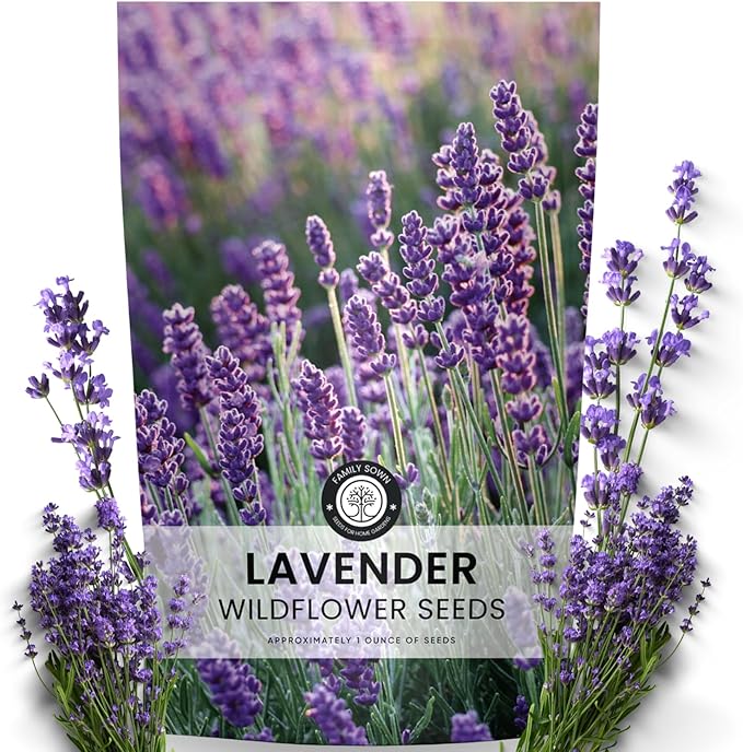 Lavender – 28,000 Seeds for Planting – 2026 Season – 1 Ounce Pouch