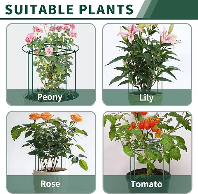 SYITCUN 4pack Peony Cages and Supports, 12 x 24 Inch Four Legs Peony Cage, Heavy-Duty Peonies Support Cages, Peony Ring for Roses, Hydrangeas, Sage, Peonies, Cucumbers, Tomato