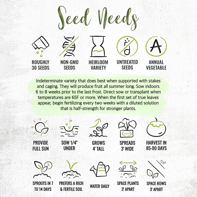 Seed Needs Tomato Seeds for Planting Indeterminate True Beefsteak Tomatoes - Non-GMO Heirloom & Untreated Vegetable Seed to Plant a Home Grown Outdoor Veggie Garden (5 Packs)