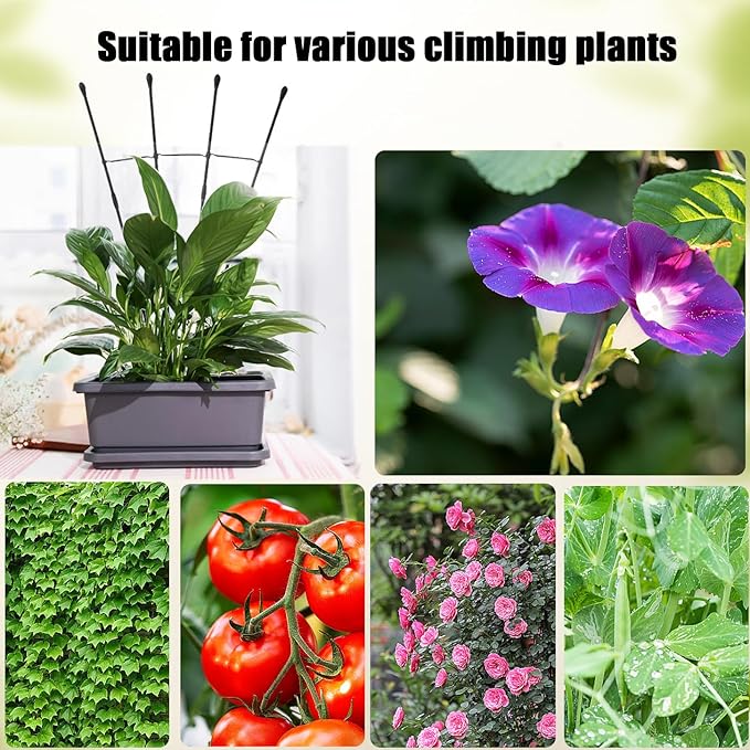 Garden Trellis for Climbing Plants Outdoor & Indoor, 47in Plant Trellis for Vines, Flowers,Tomato cage 3 Shapes Rustproof Plant Support Trellis for Potted Plants,Rose, Cucumber, Pea, Tomato, 2Pack