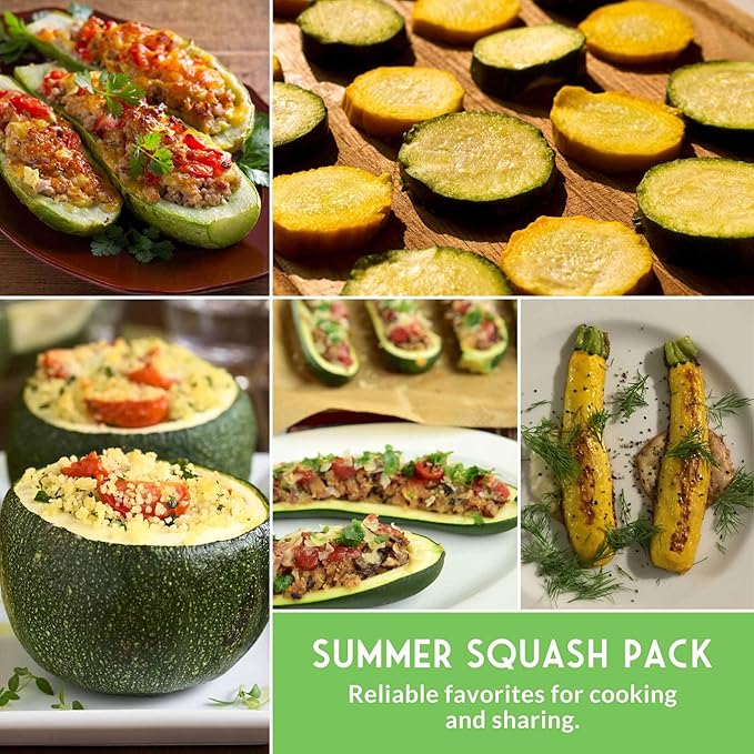 Survival Garden Seeds Zucchini & Squash Collection Seed Vault - Non-GMO Heirloom Seeds for Planting Vegetables - Assortment of Golden, Round, Grey, Black Beauty Zucchinis, Straight Neck Summer Squash