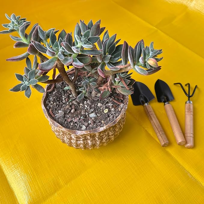 Mini Gardening Tools Set for Kids – 3 Pieces Garden Hand Tool Kit with Shovel, Trowel and Rake for Succulents, Potted Plants, Indoor & Outdoor Gardening