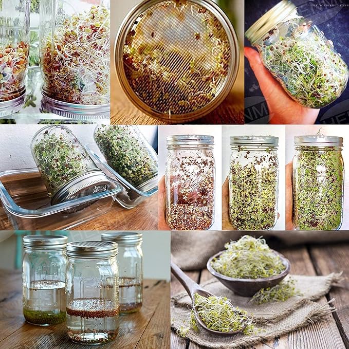 Sprouting Jar Kit, Wide Mouth Quart Mason Jars with Screen Sprout Lids & Stand, Seeds Germination Growing Kit, Seed Sprouter Set for Growing Organic Broccoli Alfalfa Mung Microgreens Bean, 2 Pack