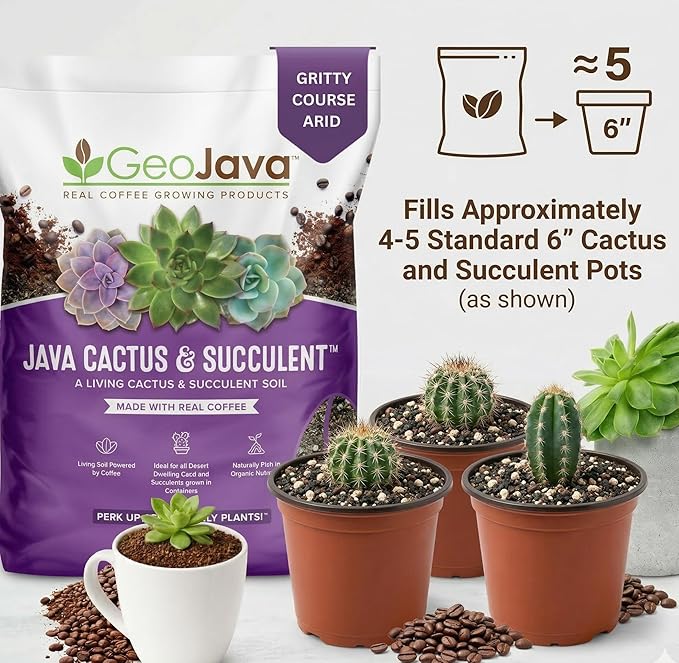 Java Cactus & Succulent Soil: A Gritty, Fast‑Draining, Peat-Free, Ready‑to‑Use Potting Mix for Cacti & Succulents -Keeps Roots Well Aerated for Indoor Pots & Plants. USA Made (6QT)