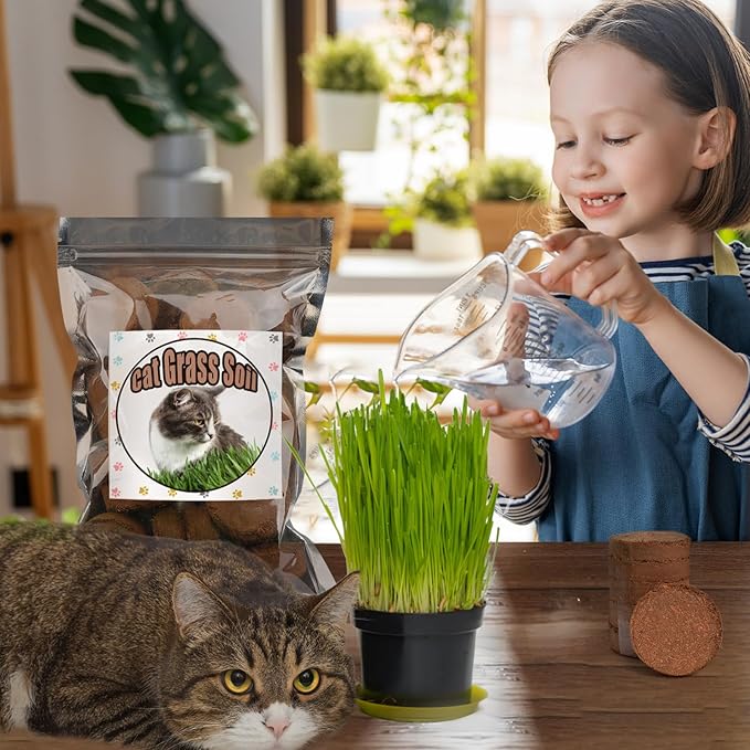 Organic Potting Soil for Indoor Cat Grass, Great Seedling Soil for Wheat Grass, Bermuda, Catnip, and All Indoor Herb Plants