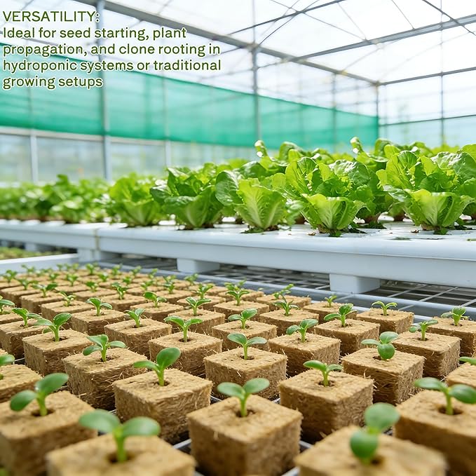 1.5 Inch Rockwool Cubes for Hydroponics Seed Starter,(2 pcs, 98 Plugs in Total) Rock Wool Planting Cubes Hydroponic Garden Grow Plugs for Soilless Cultivation Plants Cutting Germination Clone
