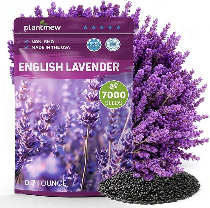 Lavender Seeds for Planting, English Lavender Seeds Indoor & Outdoor, 7000+ Heirloom Seeds, High Germination, Easy to Grow, Fragrant Flowers, Culinary & Crafts (0.7 oz)
