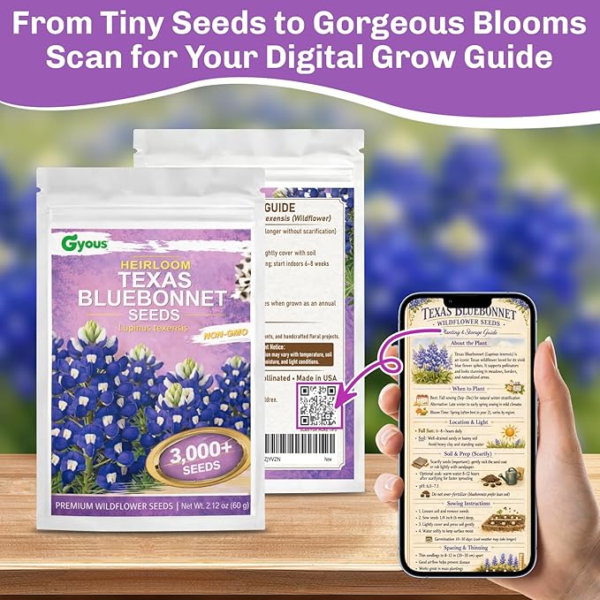 Texas Bluebonnet Seeds 3000+ to Plant - Lupinus texensis Full Growing Guide - Iconic Annual Blue Wildflower - Drought Tolerant for Meadows & Gardens - Fall Planting for Spring Blooms