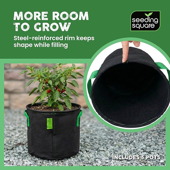 Seeding Square Fabric Grow Bags (7 Gallon) – Durable, Reusable Air-Pruning Plant Pots for Vegetables, Fruits & Herbs – Eco-Friendly Breathable Planter Bags for Healthy Roots & Bigger Harvests