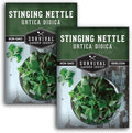 Stinging Nettle Seeds for Planting - Urtica Dioica Medicinal Herb & Edible Perennial - Common Nettle for Tea, Cooking & Wellness - Heirloom Non-GMO - Survival Garden Seeds (2 Packs)