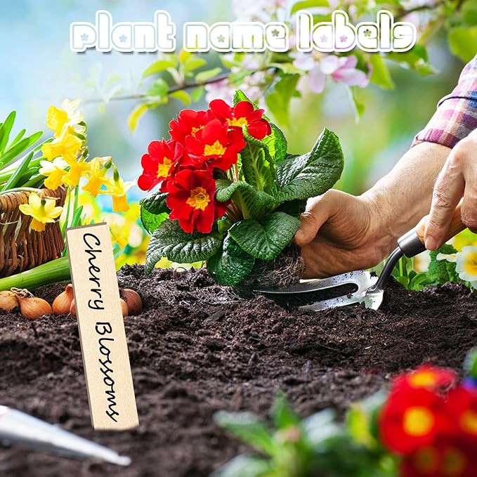 Zkptops 100Pcs Wooden Plant Labels Plant Tags 6 Inch Garden Plants Markers Waterproof Seed Labels Markers Sticks Outdoor Garden Label Stakes Sign Wooden Plants Name Tags for Seedling Vegetables Flower