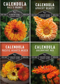Calendula Seeds for Planting – 4 Pack Mix | Pacific Beauty, Apricot Beauty, Balls Orange, Greenheart – Heirloom Pot Marigold – Medicinal Herb, Pollinator Flowers – Survival Garden Seeds
