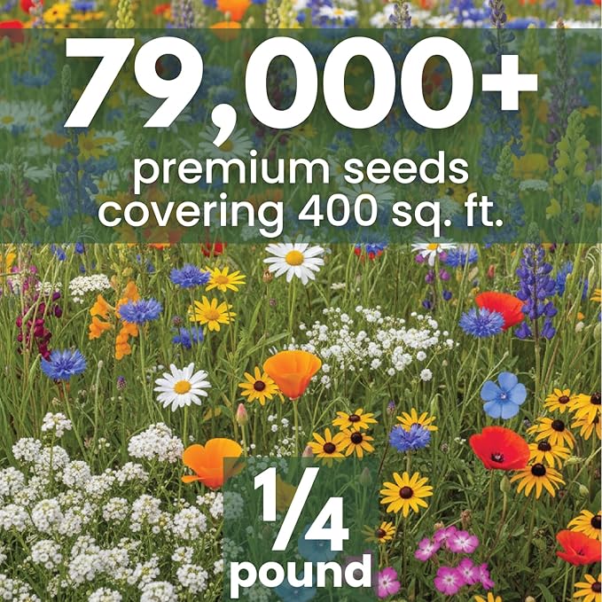 California Regional Mix – 79,000 Seeds for Planting – 2026 Season – 4 Ounce Pouch
