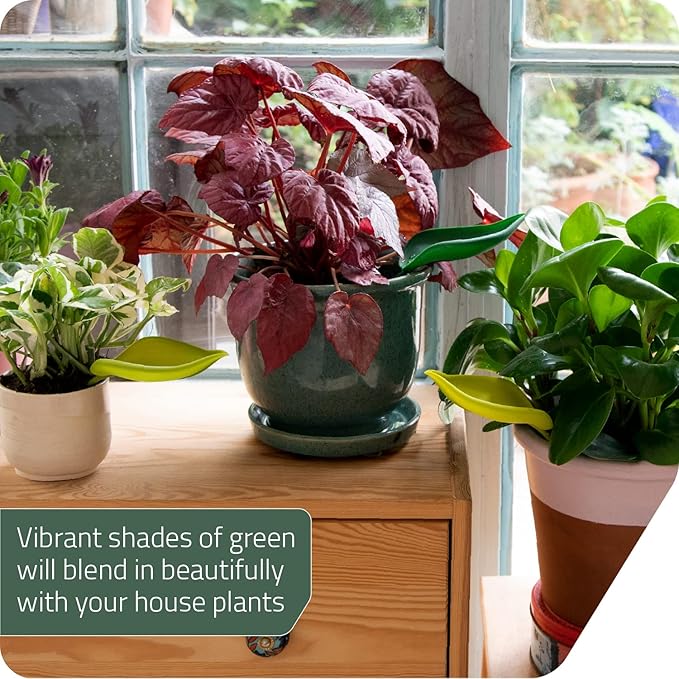 Peleg Design Leaflow Plant Pot Watering Funnel (Set of 3), Plant Watering Funnel for Indoor and Outdoor Plants, Watering Leaves for Plants