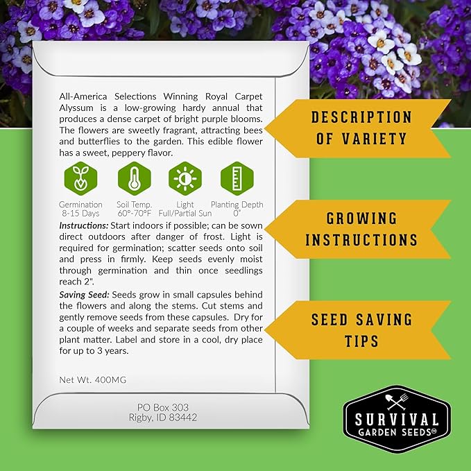 Alyssum Seeds for Planting - Sweet Royal Carpet Purple Alyssum - Fragrant Perennial Flower & Ground Cover - Heirloom Non-GMO - Survival Garden Seeds (1 Pack)