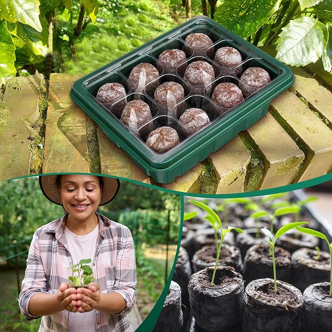 6 Pack Seed Starter Tray with 72 Pcs Peat Pellets, Seeding Starter Kit (72 Cells Total Tray) with Humidity Dome, Soil Plant Germination Tray Kit for Flower Vegetable(Black, Green)