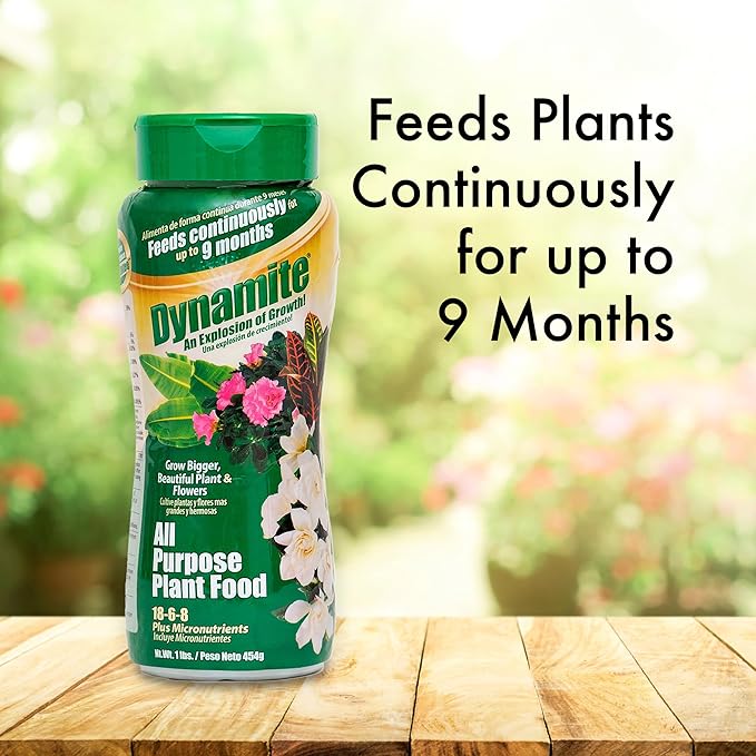 Dynamite 605951 All Purpose Indoor and Outdoor Plant Food, 1-Pound