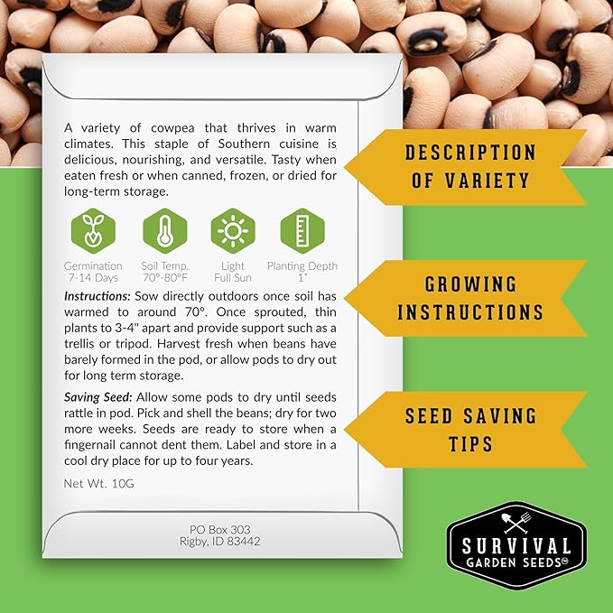 Black Eyed Pea Seeds for Planting - Heirloom Non-GMO Cowpea Variety - Drought Tolerant, High-Yield Southern Field Peas for Home Gardens and Food Independence - Survival Garden Seeds (1 Pack)