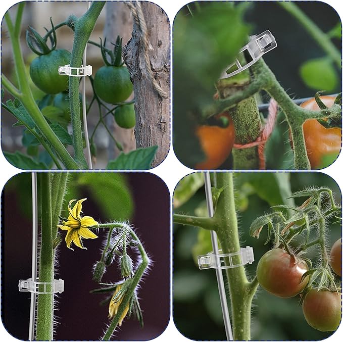 200PCS Plant Support Garden clips, Vegetable Cages and Supports, Garden Trellis for Climbing Vine Plants, Supports Clip for Tomato Grape Melon, Makes Garden Crop to Grow Upright and Healthier