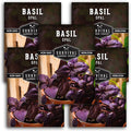 Opal Basil Seeds for Planting - Dark Opal Basil with Purple Leaves - Unique Herb Seed Variety - Heirloom, Non-GMO Herbs for Home Gardens - Survival Garden Seeds (5 Pack)