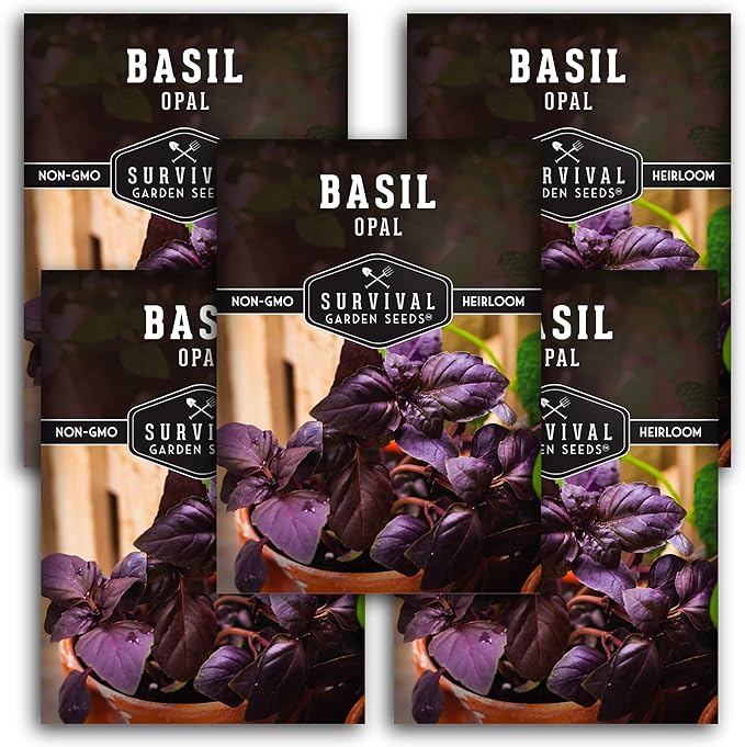 Opal Basil Seeds for Planting - Dark Opal Basil with Purple Leaves - Unique Herb Seed Variety - Heirloom, Non-GMO Herbs for Home Gardens - Survival Garden Seeds (5 Pack)