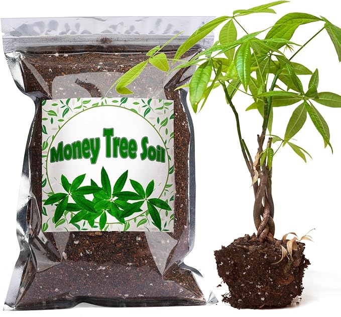 Doter Organic Money Tree Soil Mix 10qt, Indoor Plants Potting Mix for All Potted Money Tree, Grow Healthy houseplants Indoors