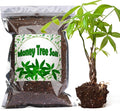 Doter Organic Money Tree Soil Mix 10qt, Indoor Plants Potting Mix for All Potted Money Tree, Grow Healthy houseplants Indoors