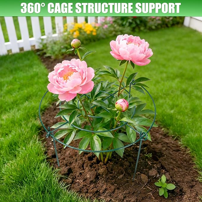 Peony Cages and Supports 8 Pack, 11.5 x 20 Inch Heavy Duty Plant Support Cage Set for Peonies, Roses & Tomatoes – Garden Stakes & Plant Cages for Outdoor Plants (8 Pack, 11.5 x 20 Inch)