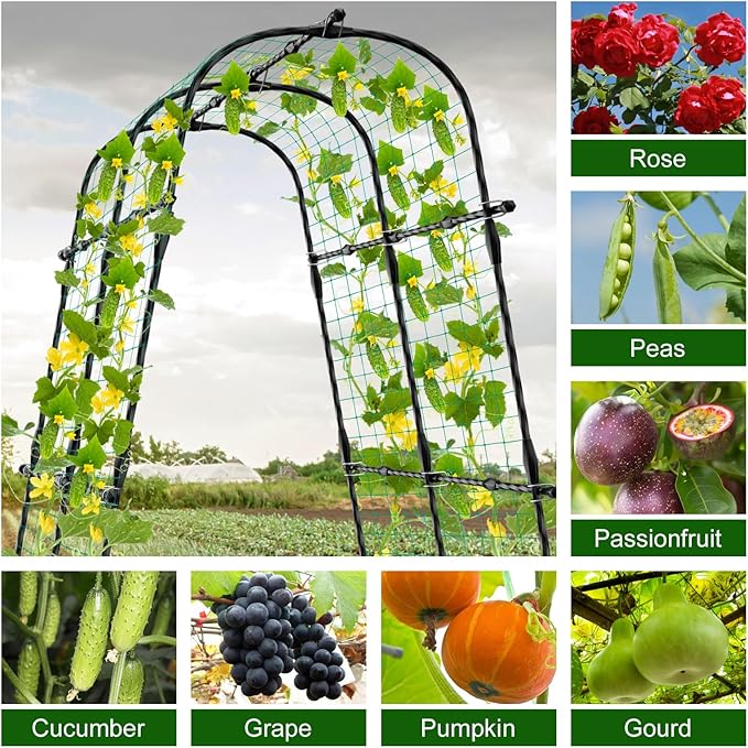 5ft Metal Cucumber Trellis for Raised Bed, Garden Arch for Climbing Plants, Black, Semicircular, Polyethylene Coated, Modern Style, Formal, Classic, Decorative