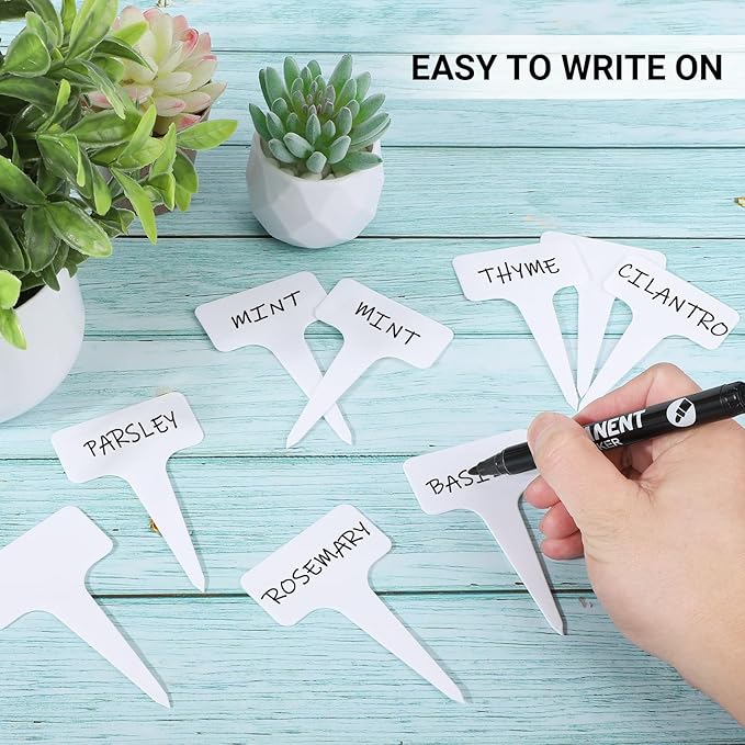 Greaner Plastic Plant Tags, 300 PCS Plant Markers for Outdoor Plants Waterproof, Plant Identification Stakes for Indoor Outdoor Plants, Vegetable Gardening Tags(White, 6x10cm)