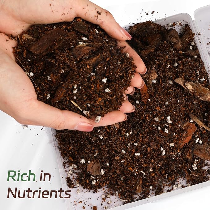 Organic Fiddle Leaf Fig Potting Mix 1qt, Indoor Plants Potting Mix for All Potted Ficus Lyrata Plant, Grow Healthy houseplants Indoors