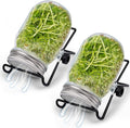 Sprouting Jar Kit, Wide Mouth Quart Mason Jars with Screen Sprout Lids & Stand, Seeds Germination Growing Kit, Seed Sprouter Set for Growing Organic Broccoli Alfalfa Mung Microgreens Bean, 2 Pack