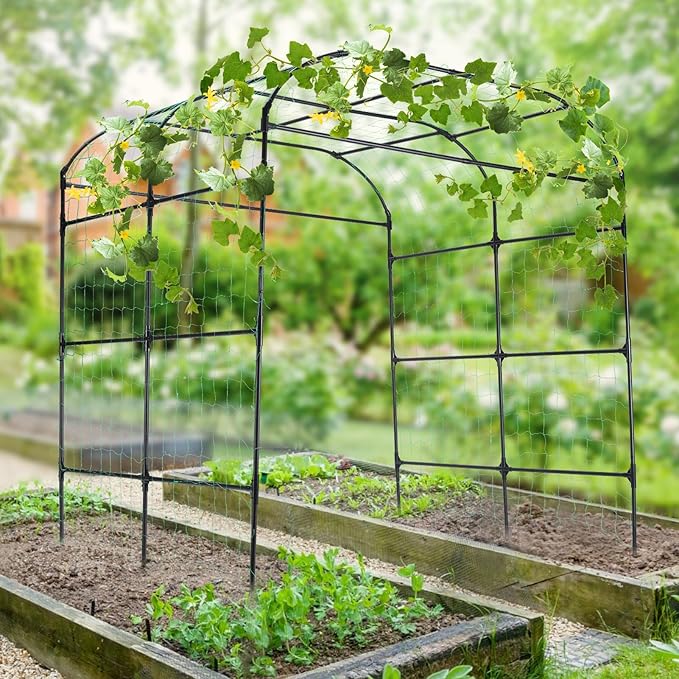 FOLLOOK Garden Arch Trellis for Climbing Plants Outdoor, Cucumber Trellis for Raised Bed, Grape Vine Tomato Bean Tall Vegetable U Frame Plant Support, Black