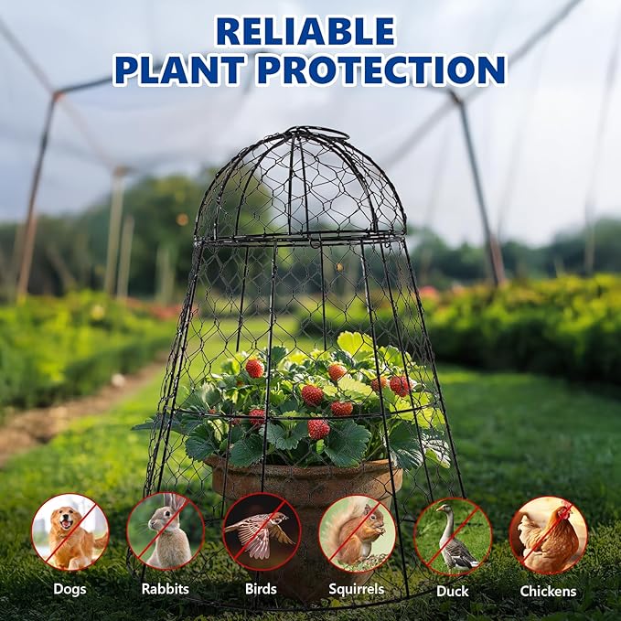Garden Cloches for Plants - Set of 12 Chicken Wire Plant Cages and Plant Protectors from Animals, 17.7" H x 12.8" D, Outdoor Vegetable and Flower Cages, Sapbontchi Chicken Wire Cloche (12)