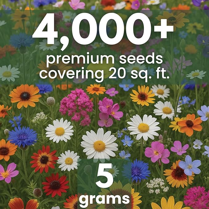 Drought Tolerant Mix – 4,000 Seeds for Planting – 2026 Season – 5 Gram Pouch
