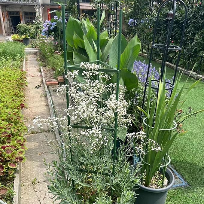 Pwshymi Tomato Cage Heavy Duty Sturdy Plant Support Stakes for Garden and Pots Indoor and Outdoor, Adjustable Design for Versatile Growing, 3Pcs Tomato Cage for Farmers and Home Gardeners (80cm)