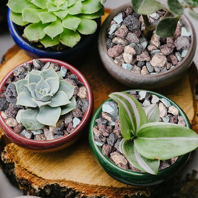 12lbs Mix Horticultural Lava Rocks for Plants, 3/8 Inch Potting Soil Amendment for Succulents, Cacti, Bonsai, Decorative Gravel Plant Drainage Volcanic for Terrarium, Top Dressing