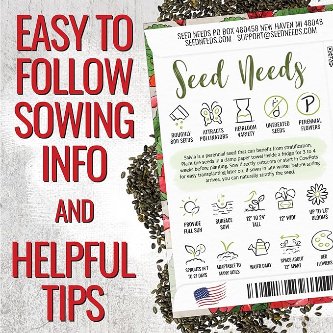 Seed Needs Salvia Seeds for Planting Scarlet Sage Flowers - Heirloom & Open Pollinated Perennial Wildflower Seed to Plant an Outdoor Butterfly Garden to Attract Pollinators (20 Packs)