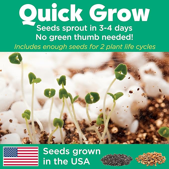 Creativity for Kids Grow 'N Glow Terrarium Kit - Educational Science Kits| Spring Crafts for Kids Gifts for Boys and Girls | Craft and STEM Projects (Ages 6+)
