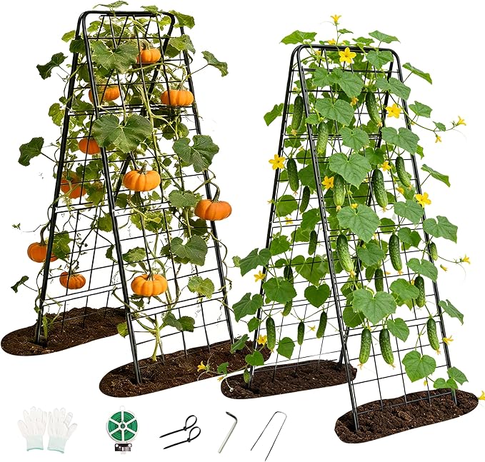 Garden Trellis for Cucumbers, 50” x 16“ Adjustable A-Frame Plant Support for Climbing Plants Outdoor, Vegetable, Flowers, 2 Pack Heavy Duty 1cm Metal Vegetable Trellis for Backyard, Raised Bed, Patio