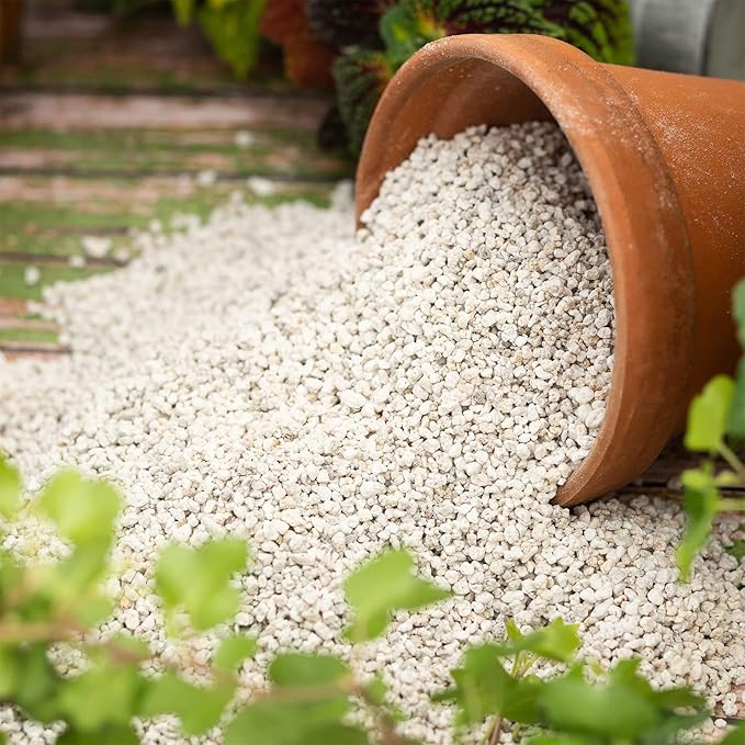 Organic Perlite for Plants, Soil Amendment for Enhanced Drainage and Growth, Ideal for Potting Mixes (10 Quart)