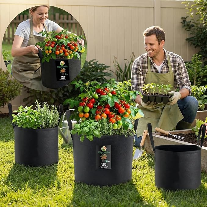 Dipuosile 6-Pack 3 Gallon Grow Bags, Heavy Duty 300G Thickened Nonwoven Plant, Fabric for Tomato,Potato,Vegetables, and Flowers