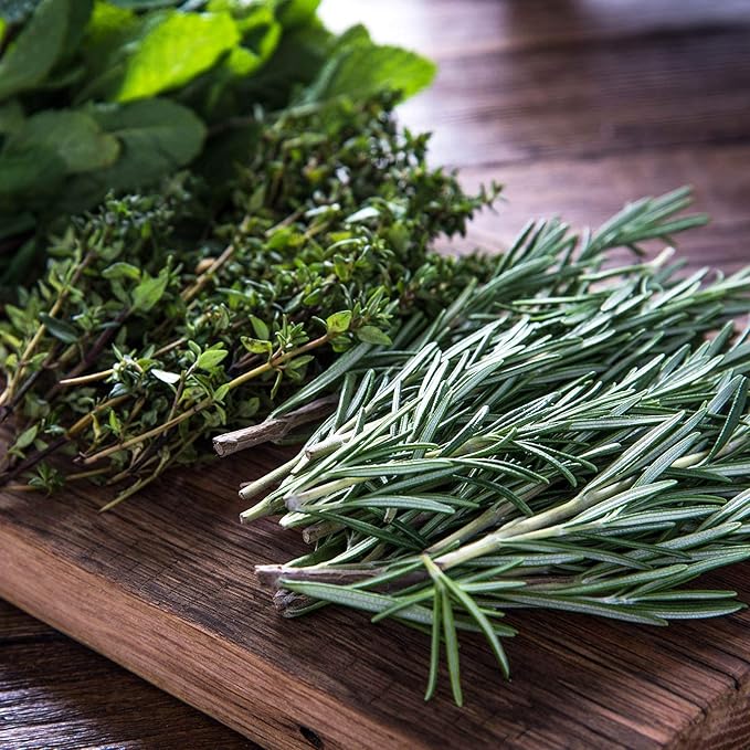 Culinary Herb Seeds Garden Collection | Basic Assortment | 6 Non-GMO Seed Packets: Basil, Dill, Oregano, Parsley, Chives & Mustard | Grow Cooking Herbs & Spices