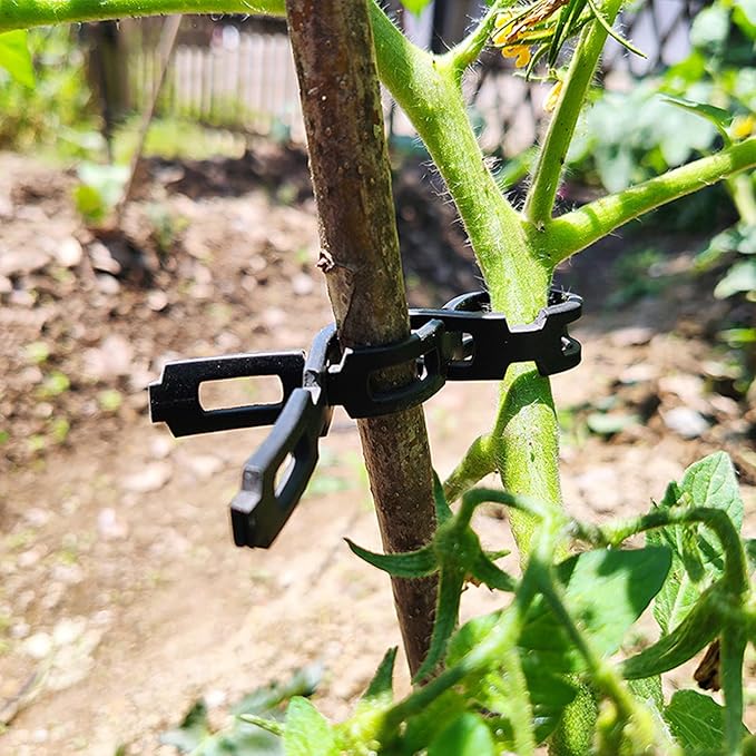 50 FT Chain Lock Tree Tie, 1/2 Inch Wide Adjustable Tree Support Straps for Staking, Outdoor Plant Garden Ties, Flexible & Reusable Plastic Ties for Cable, Leaning Tree Garden Accessories