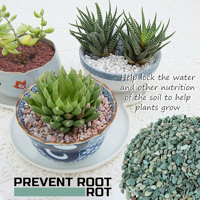2LBS Horticultural Succulent Rocks Bonsai Mix Succulent Potting Mix Lava Rocks Cactus Soil Potting Mix Amendment