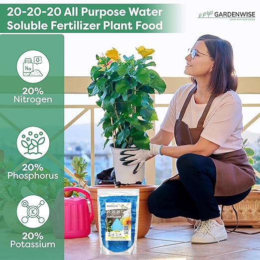 GARDENWISE 10-10-10 Fertilizer & 20-20-20 Water Soluble Fertilizer Bundle for All Purpose Plants - Liquid Fertilizer with Seaweed Kelp & Iron - Plant Food Outdoor & Indoor Plant Food, 8oz & 1/2 Quart