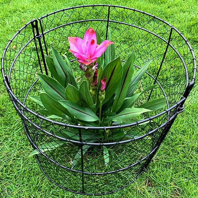 10 Pack Garden Plant Protection Cloches 14"x16", Heavy Duty Chicken Wire Plant Protectors, Rustproof Metal Garden Cages to Shield Seedlings, Flowers & Vegetables from Animals
