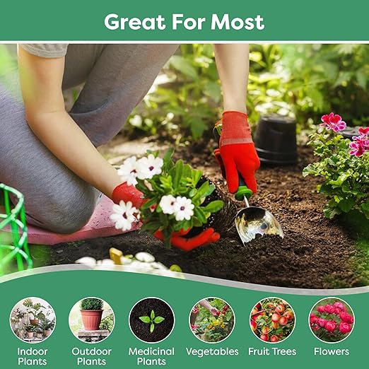 GARDENWISE 10-10-10 Fertilizer & 20-20-20 Water Soluble Fertilizer Bundle for All Purpose Plants - Liquid Fertilizer with Seaweed Kelp & Iron - Plant Food Outdoor & Indoor Plant Food, 8oz & 1/2 Quart